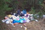 illegal dump_150.jpg