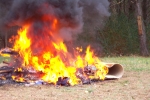 illegal burn_150.jpg